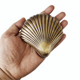 Seashell Plaque