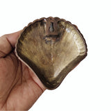 Seashell Plaque