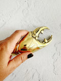 Crab Claw Bottle Opener