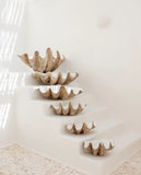 Resin Clam Shell - Pineapple Traders