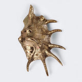 Spider Conch Shell Door Knocker