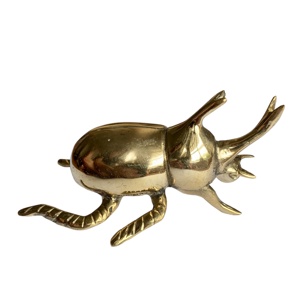 Gold Brass Beetle