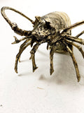 Brass Pacific Lobster