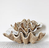 Resin Clam Shell
