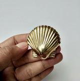 Brass Scallop Shell Knob by Pineapple Traders