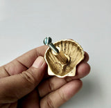 Scallop Shell Knob | by Pineapple Traders