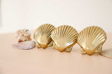 Scallop Shell Knob | by Pineapple Traders