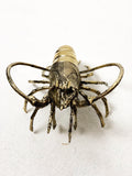 Brass Pacific Lobster