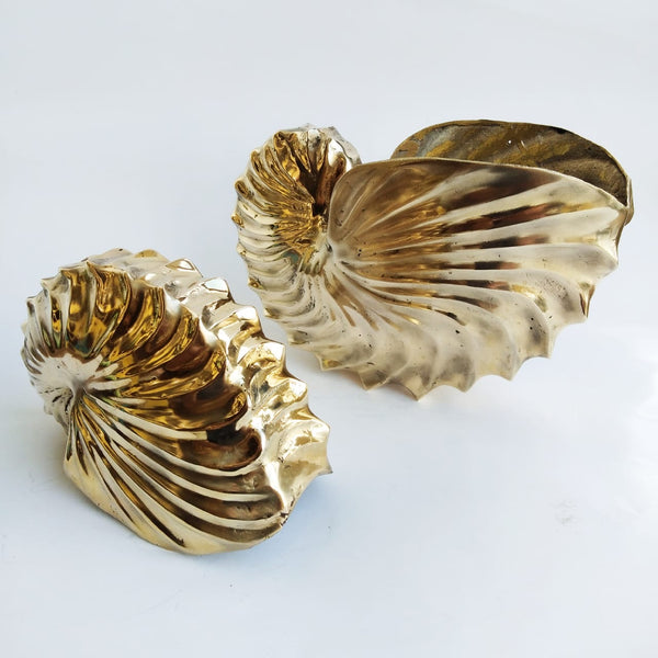 Brass Nautilus Shell – Pineapple Traders
