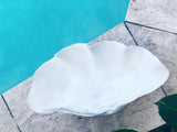 White Resin Clam Shell