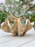 Resin Clam Shell - Pineapple Traders