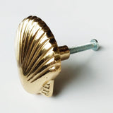 Brass Scallop Shell Knob by Pineapple Traders