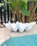 White Resin Clam Shell - by Pineapple Traders