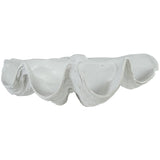 White Resin Clam Shell
