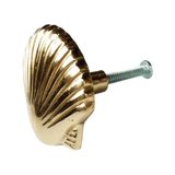 Brass Scallop Shell Knob by Pineapple Traders