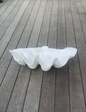 White Resin Clam Shell - by Pineapple Traders