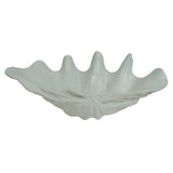 White Resin Clam Shell