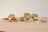 Scallop Shell Knob | by Pineapple Traders