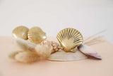 Scallop Shell Knob | by Pineapple Traders