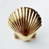 Brass Scallop Shell Knob by Pineapple Traders