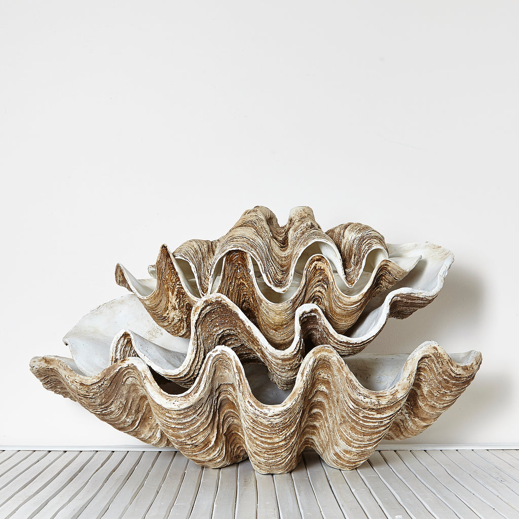 Resin Clam Shells are back in stock: AGAIN!