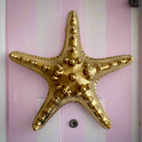 Starfish Door Knocker