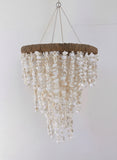 Shell Chandelier