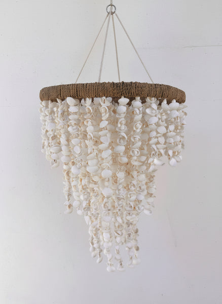 Shell Chandelier