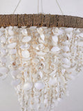 Shell Chandelier