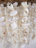 Shell Chandelier