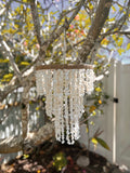 Shell Chandelier