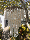 Shell Chandelier