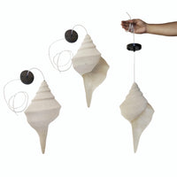 Hanging Shell Pendant