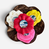 Flower Soap Set - “Island Breeze” Soap & Coconut Bowl