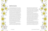 Ho’oponopono - The Ancient Hawaiian Practice of Gratitude & Forgiveness