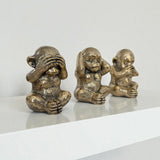 Cheeky Wisdom Monkeys  |  by Pineapple Traders