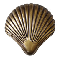Seashell Plaque