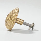 Seaside Scallop Brass Knob