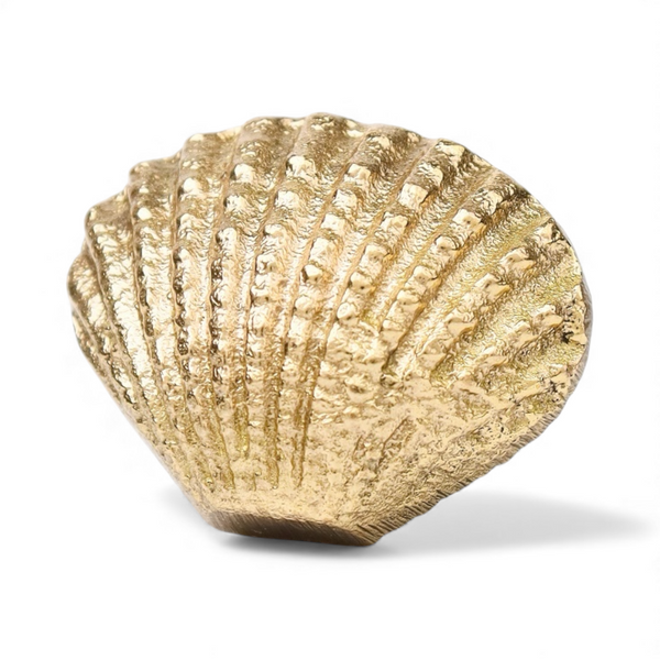 Seaside Scallop Brass Knob