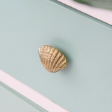 Seaside Scallop Brass Knob