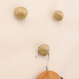 Seaside Scallop Brass Hook
