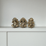 Cheeky Wisdom Monkeys  |  by Pineapple Traders