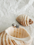 Sterling Silver Scallop Shell Stud earring’s