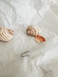 Silver Rings - Scallop Shell