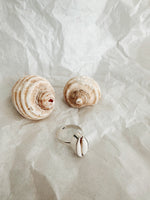 Silver Rings - Cowrie Shell