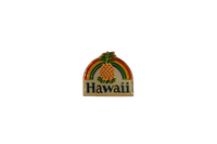 Hawaiian Collectible Pins