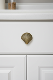 Brass Shell Knob | by Pineapple Traders