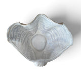 Ceramic Clam Shell Decor