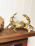 Brass Crab with gold finish