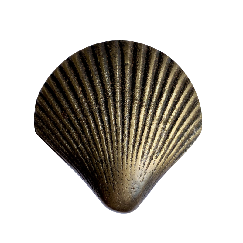 Brass Shell Knob by Pineapple Traders